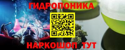 шишки Тула